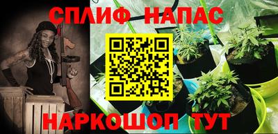 гашик Краснодар