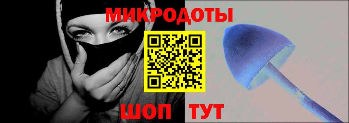 Галлюциногенные грибы Psilocybine cubensis Йошкар-Ола